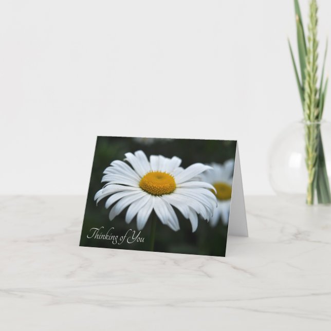 Daisy - Ansikte uppåt Anteckningskort (Framsida)