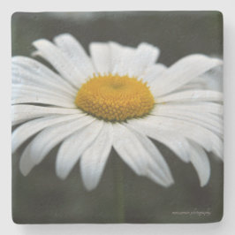 Daisy - Ansikte uppåt Stenunderlägg