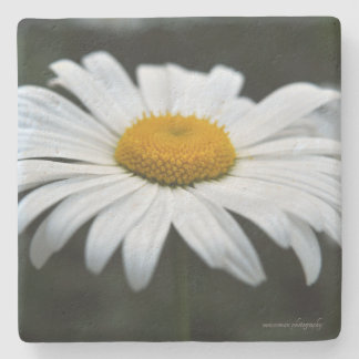 Daisy - Ansikte uppåt Stenunderlägg