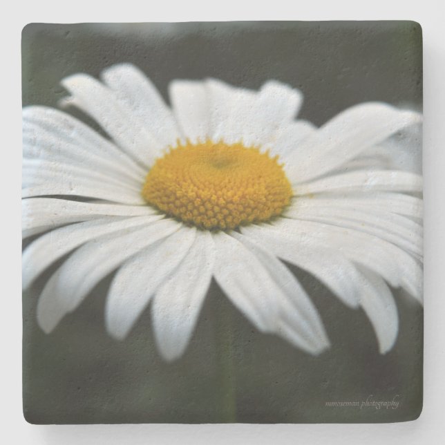 Daisy - Ansikte uppåt Stenunderlägg (Framsidan)