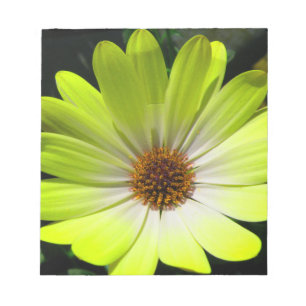 Daisy Anteckningsblock av fluorescerande Gult