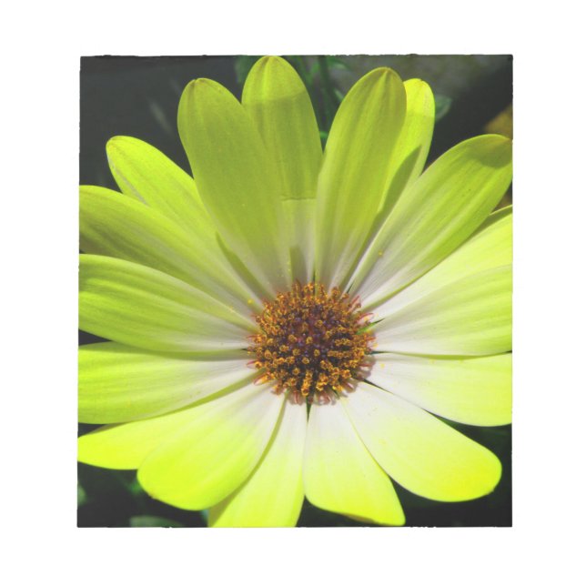 Daisy Anteckningsblock av fluorescerande Gult (Framsida)