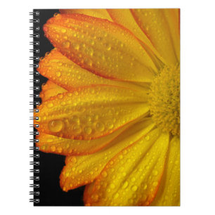 Daisy Anteckningsbok