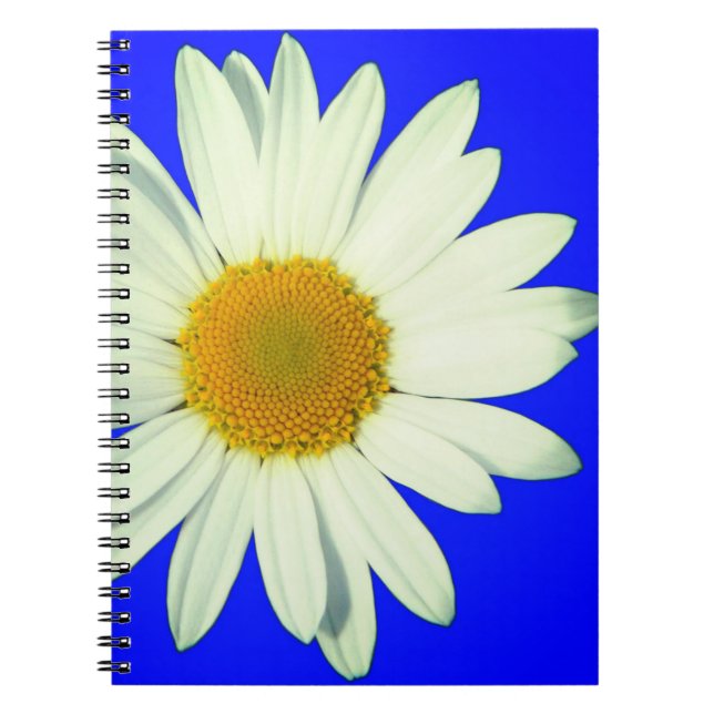 Daisy Anteckningsbok (Framsidan)