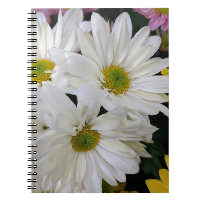 Daisy Anteckningsbok Med Spiral (Framsidan)