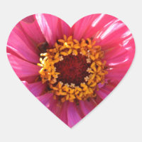 daisy av elegant klassisk rosa blommigt morsa