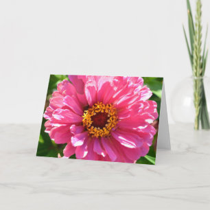 daisy av elegant klassisk rosa blommigt morsa kort