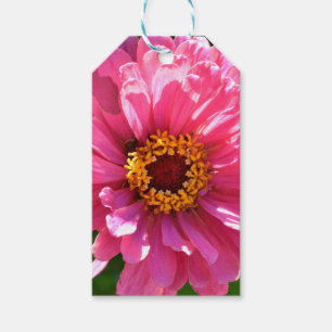 daisy av elegant klassisk rosa blommigt morsa presentetikett