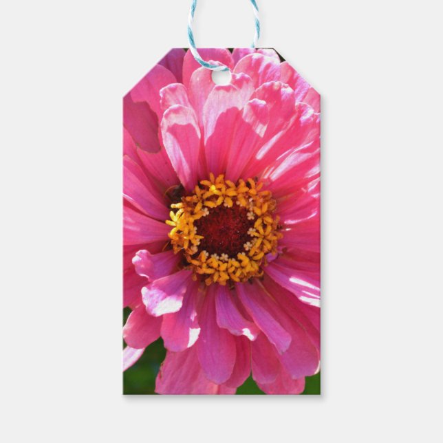 daisy av elegant klassisk rosa blommigt  morsa presentetikett (Framsidan)