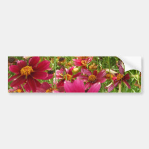 Daisy av ljusa Shock rosa och Gulter Bildekal