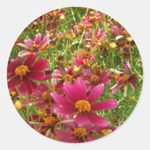 Daisy av ljusa Shock rosa och Gulter Runt Klistermärke