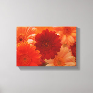 Daisy av Orange - blomma fotoarbetsytans väggutskr Canvastryck