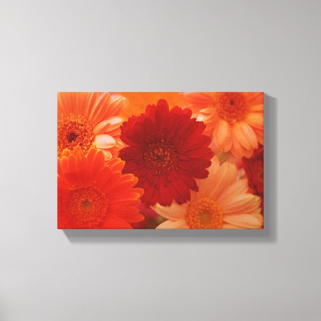 Daisy av orange - blomma fotopatecken på arbetsyta canvastryck (Framsida)