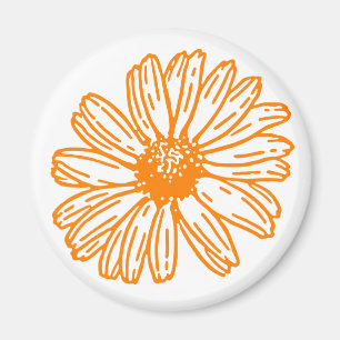 Daisy av orange - färglöst utskrift, Blommönster a Magnet