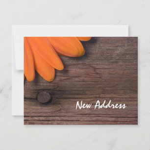 Daisy av orange och Nytt adress kort för Rustic Ba