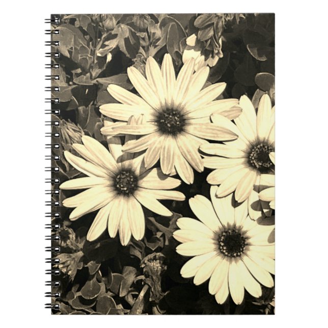 Daisy Blad Sepia - bärbar dator Anteckningsbok (Framsidan)
