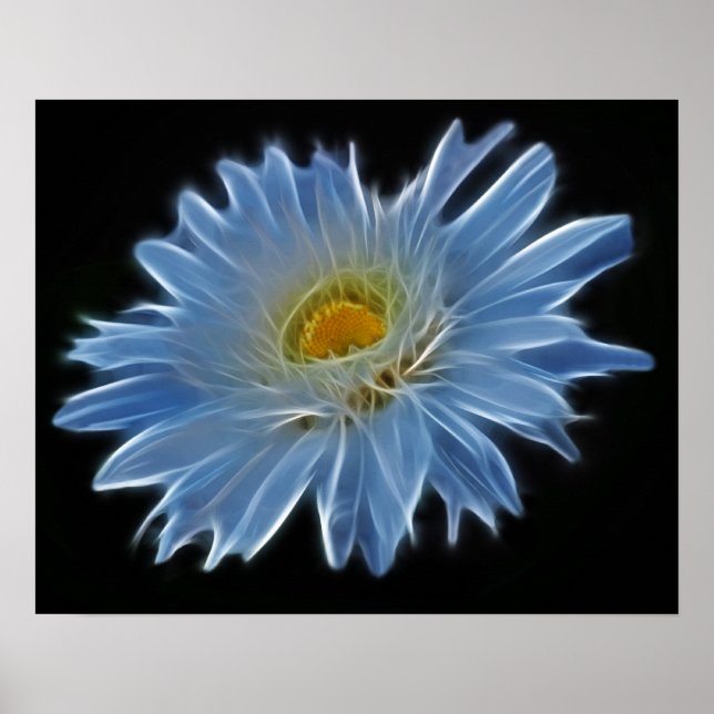 Daisy blomma poster (Framsidan)
