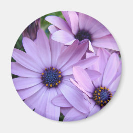 Daisy Blommor 1 Mors dag-presentkort Mugg Magnet