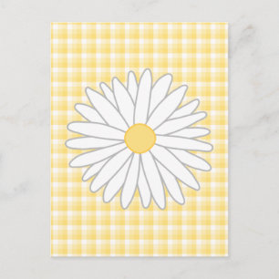 Daisy Blommor i Gult och Vit. Vykort