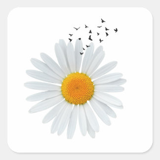Daisy Blommor med Flock av fåglar Fyrkantigt Klistermärke