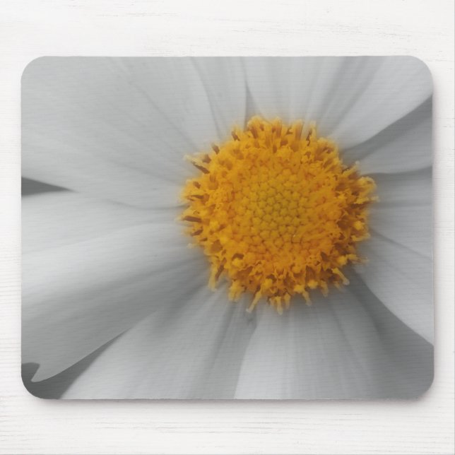 Daisy Blommor, stäng, svart, vit muspekare Musmatta (Framsidan)