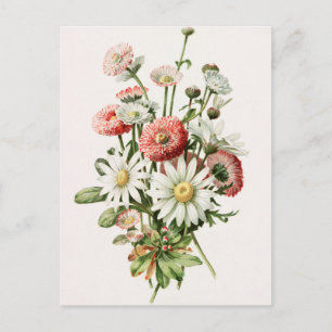 Daisy Bouquet-vykort Vykort