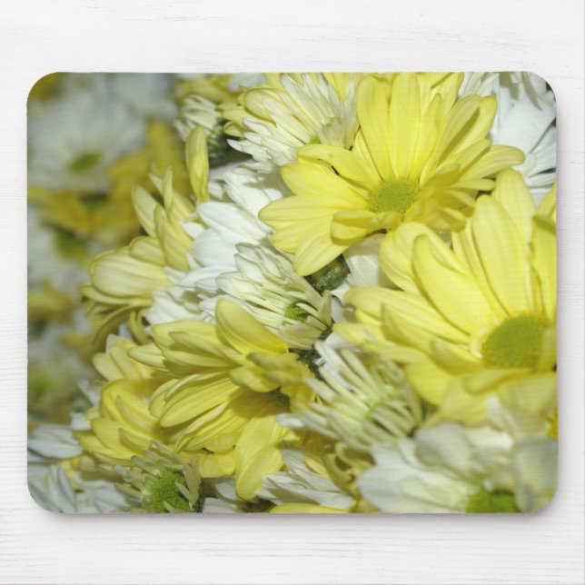 Daisy Bouquets Musmatta (Framsidan)