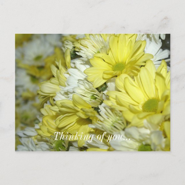 Daisy Bouquets tänker på ditt vykort (Framsida)