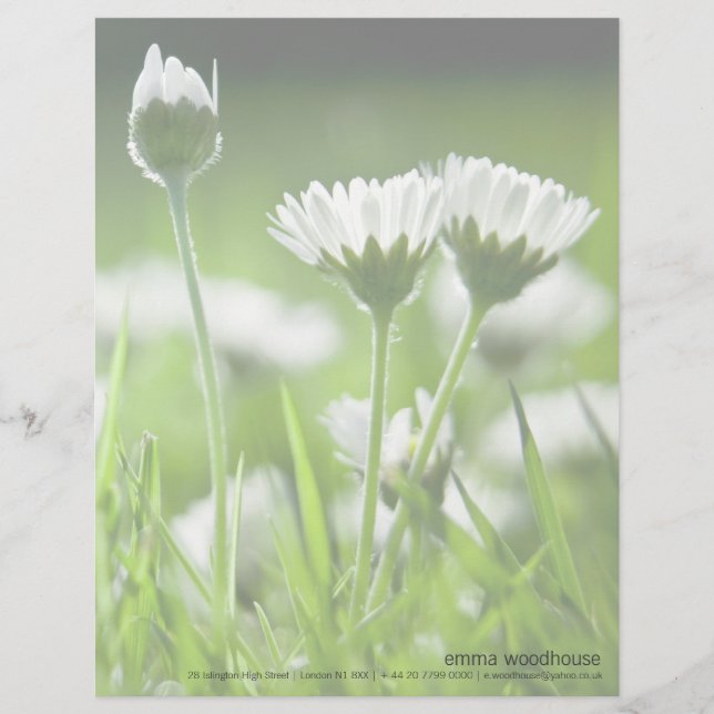 Daisy Brevhuvud (Framsida)