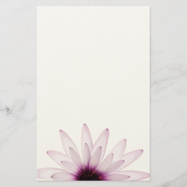 Daisy Brevpapper (Framsida)
