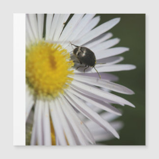 "Daisy & Bumblebee Puzzle - Nature's Tiny"