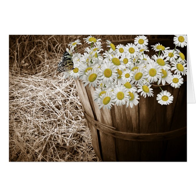 Daisy Bunch Hälsningskort (Framsidan Horizontal)
