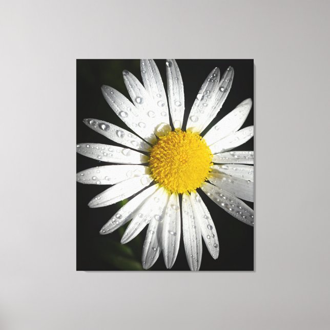 Daisy Canvastryck (Framsida)