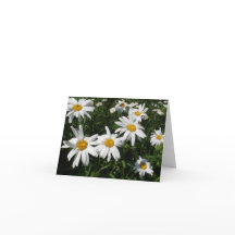 Daisy Card