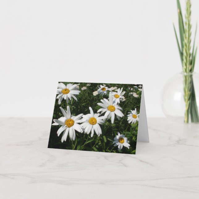 Daisy Card Kort (Framsida)