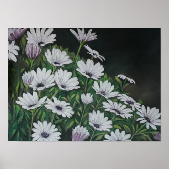 Daisy Chrysanthemum Art Print Poster (Framsidan)