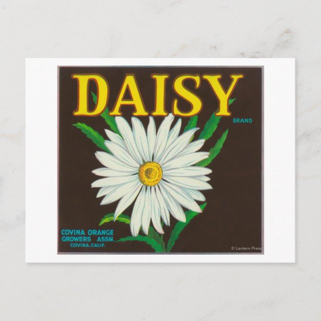 Daisy Citrus Låda etikett Vykort (Framsida)