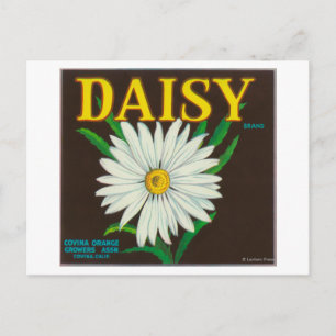 Daisy Citrus Låda etikett Vykort