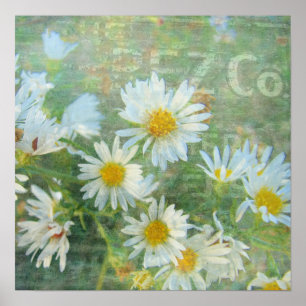 Daisy Co. Digital Art, Grunge Poster