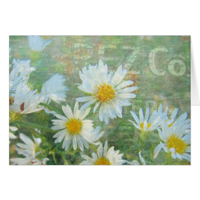 Daisy Co. Hälsningskort (Framsidan Horizontal)