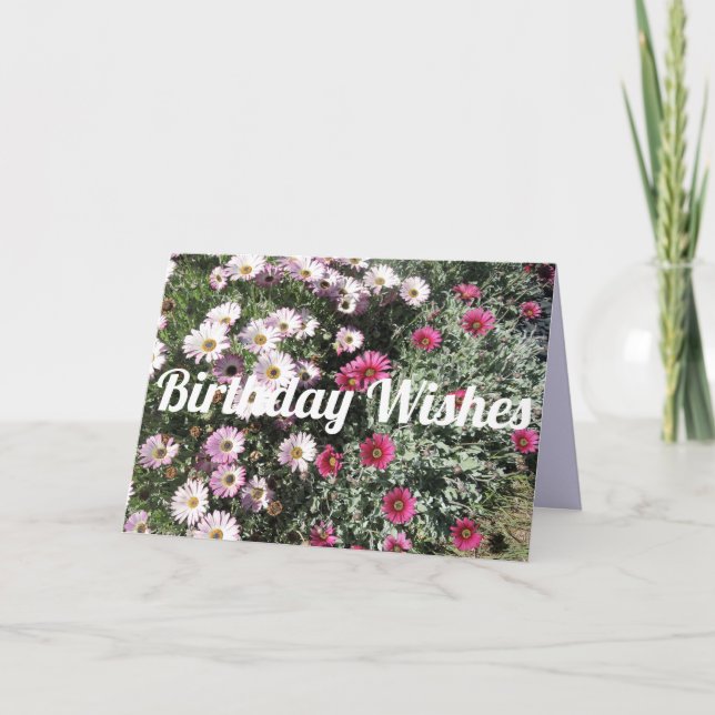 Daisy Daisy Rosa Red Flowers Blommigt Birthday Kort (Framsida)