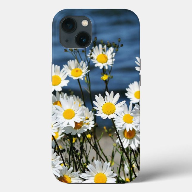 Daisy-Daisy, söt daisy av vilda blommor iphone cas (Baksida)