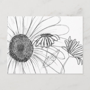 Daisy, Daisy Vykort