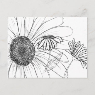 Daisy, Daisy Vykort