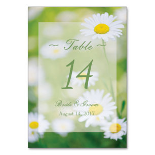 Daisy Daisys Flower Blommigt Summer Bordsnummer