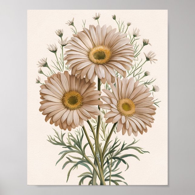 Daisy Daydream Poster (Framsidan)