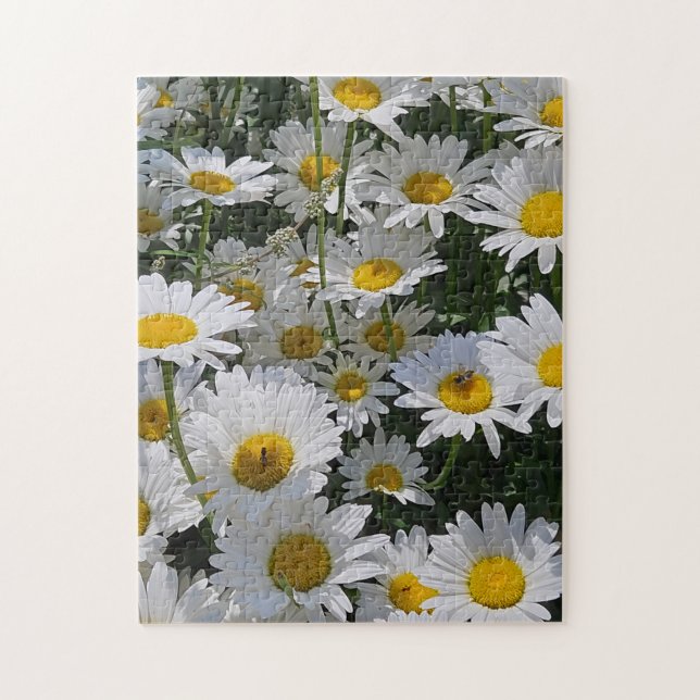 Daisy Daydream Puzzle, 11" x 14", 252 pieces Pussel (Vertikal)