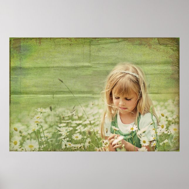 Daisy Daydröm Poster (Framsidan)