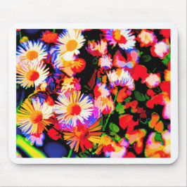 Daisy Daze Musmatta