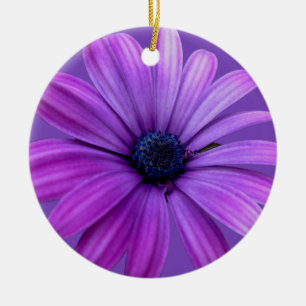 Daisy Dekoration för prydnadsblomma jul